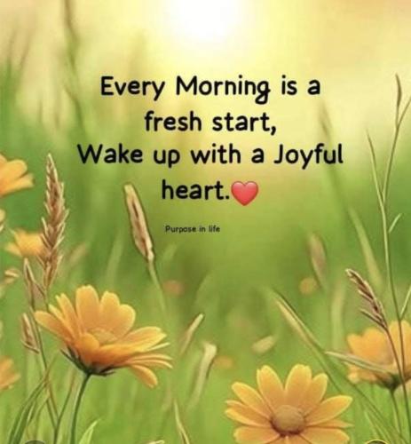 485701117_9667598519937530_3621134537208683864_n