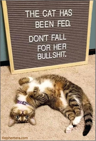 TheCatHasBeenFed_321x