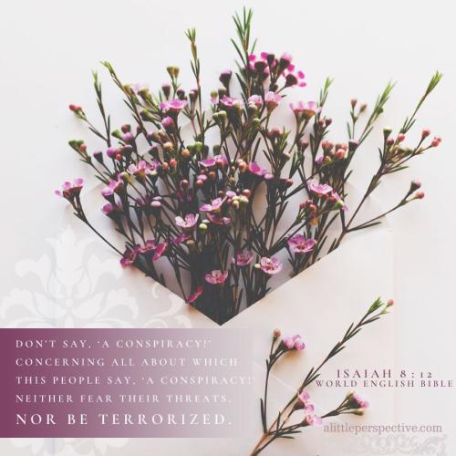 isa-8-12-WEB-unsplash