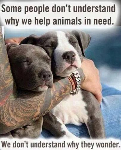 59074b2ccafc3385e8f5b86aa30f70e0