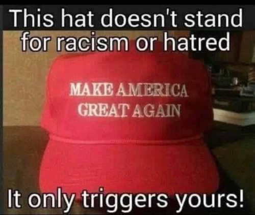 image_2025-05-17_152723554