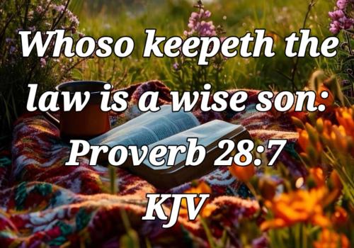 9c0bde21-749a-4508-8daa-5af0b8afd85b