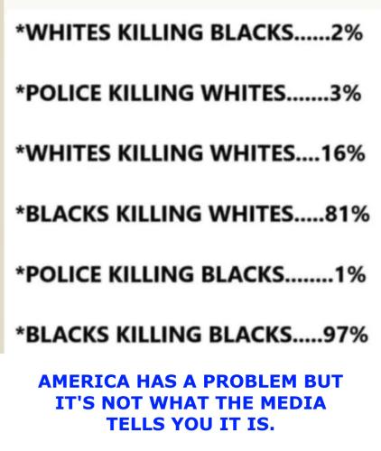 4611d0ea49205db37ad9782d09e431a7_1024