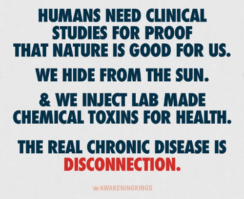 Screenshot 2025-05-14 110329