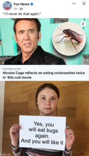 EAT BUGS