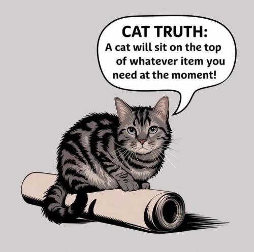 2fa38a666175397fe0b518b14bc7d737