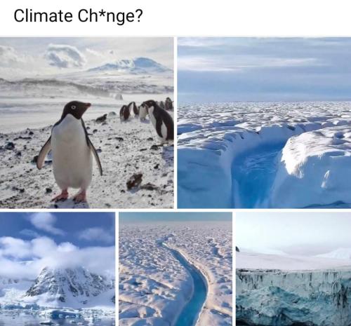 409a48d6-5c74-45e5-a6a3-aaa01909c074