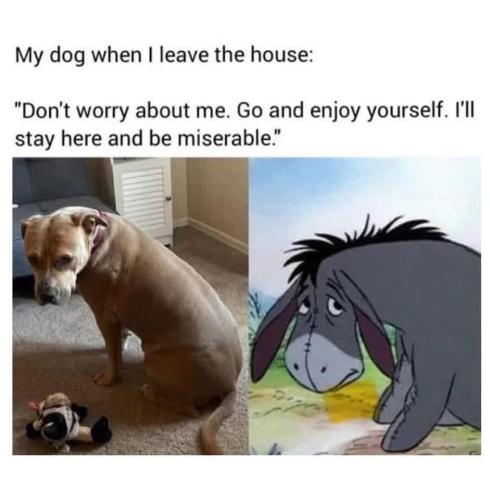 FB_IMG_1747155386531