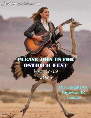 FB_IMG_1747506197077