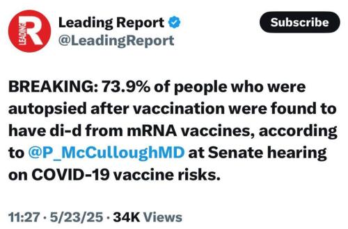 photo_2025-05-25_17-07-42