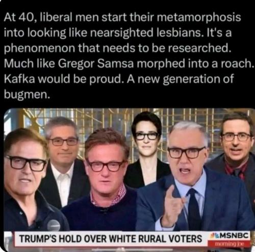 photo_2025-05-01_22-09-09