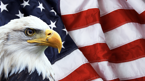 Screenshot 2025-05-01 at 5.24.46 PM