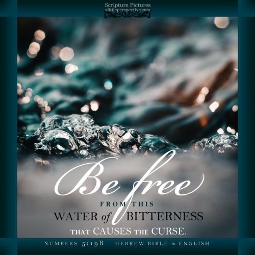 num-5-19-HBE-unsplash