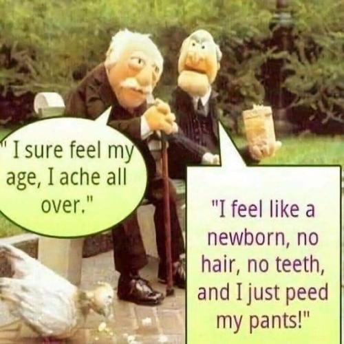 a1 - 488417505_1008970144730381_8378143143957609350_n