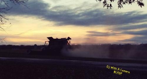 Screenshot_20250430_190652_Gallery