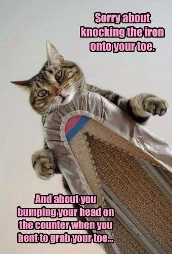 68ae2592a0b4ec3d07e785753227e9dc