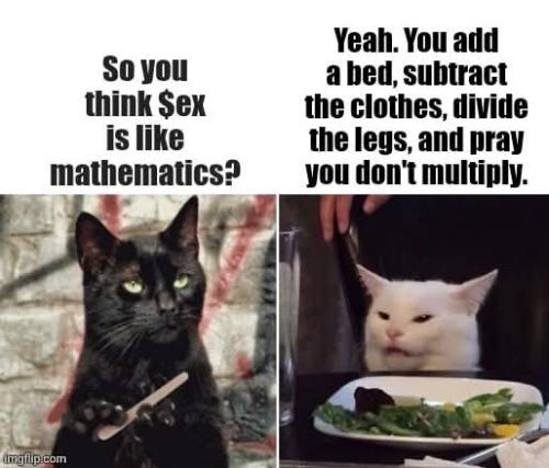 FB_IMG_1747864681636