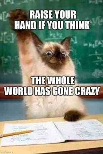 ,          ,  0424775766_746362