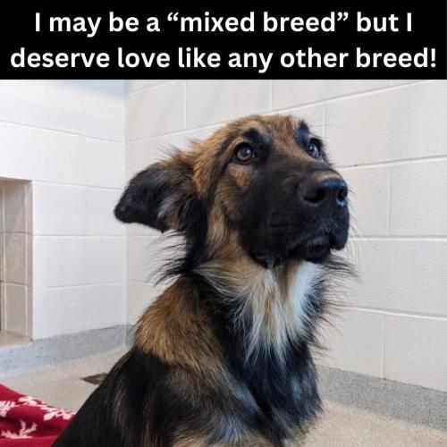 FB_IMG_1747775561635