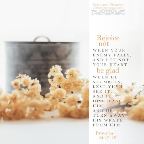 pro-24-17-KJV-unsplash-1