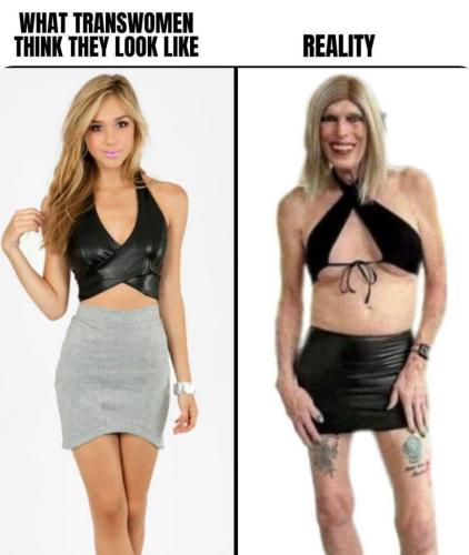 3c2e70df-310c-4165-b484-e47acae68cca