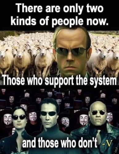 FB_IMG_1746404644393