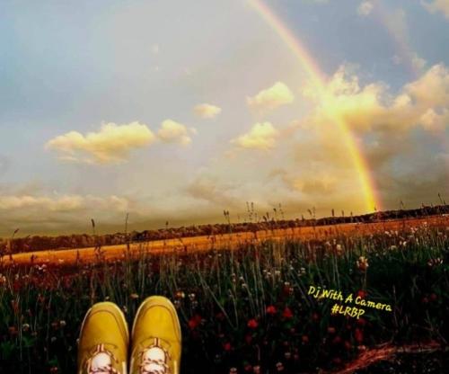 Screenshot_20250528_185334_Gallery