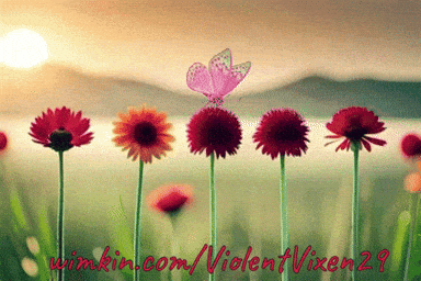 giphy-downsized-medium