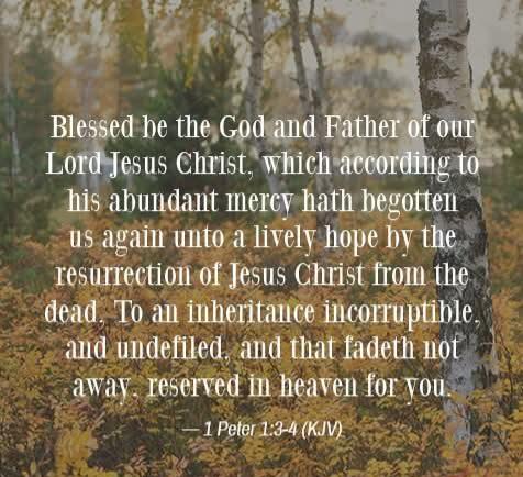 9daa27d8-de54-4f1a-b159-084852e6976b