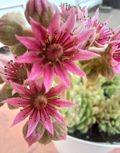 48508cbd-230b-46ad-8ed8-292f86a8bf7a