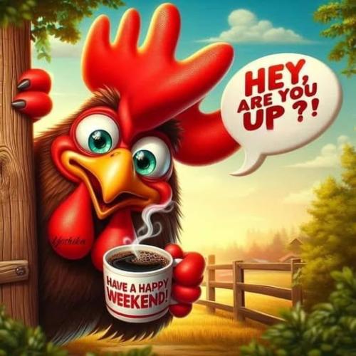 495175851_605976309163725_2974168865152727592_n