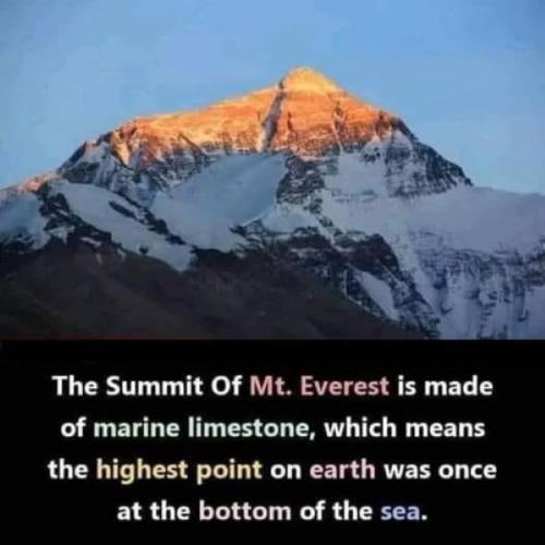 Mt. Everest