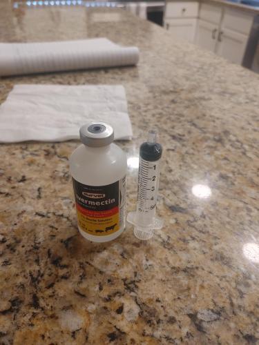 05:33:33 GMT-0500 (CDT)