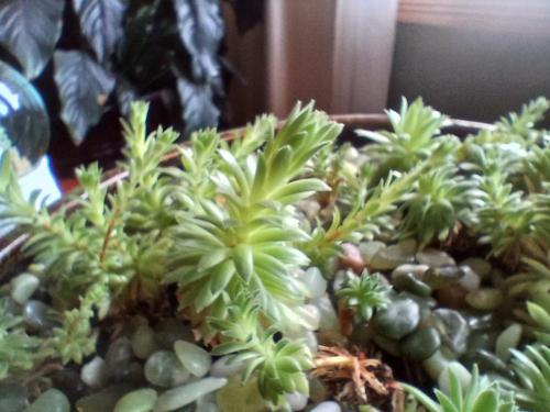 9d37b2e1-0087-4520-b577-269e1712a438