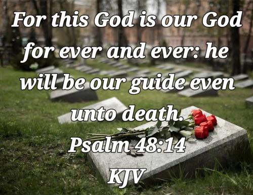 f03a068e-8b99-472e-b003-39c7b0c5ff25