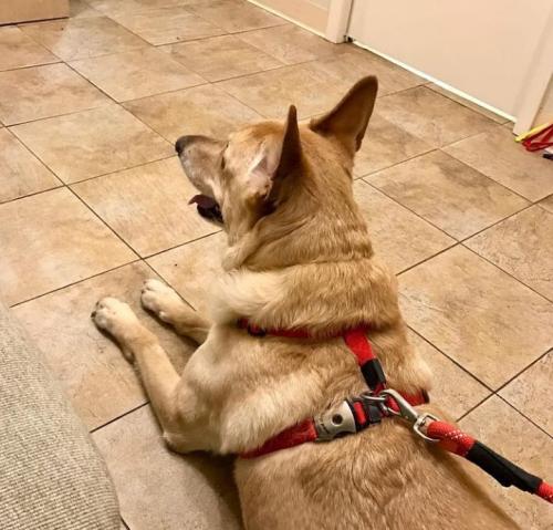 e62f8d56-ddfd-4c9d-b90a-5a69dd7b9b14