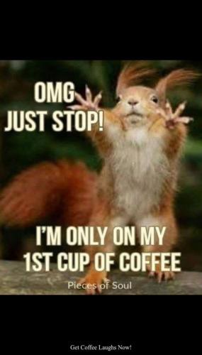 FB_IMG_1750374552578