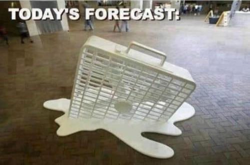 FB_IMG_1750620187579