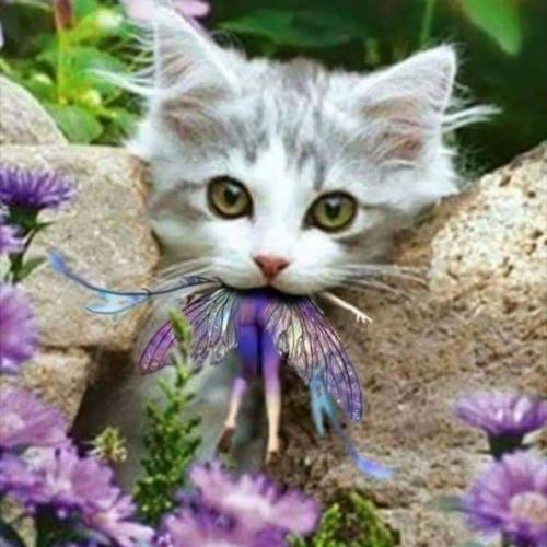 image_008CBA6C-13BD-430A-BE0F-FF1EAFD3EAE5