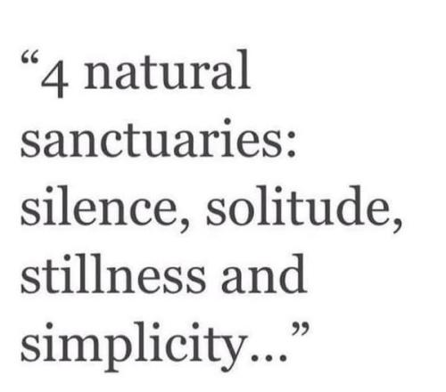 508395481_727071826875679_4574621377704107728_n