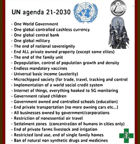 one world government