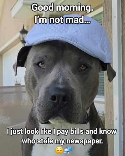 FB_IMG_1749468908669