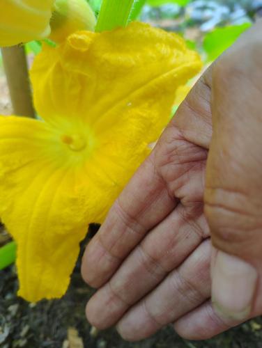 IMG_20250607_074737900