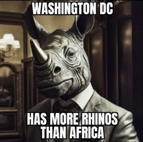 02:31:13 GMT-0500 (CDT)