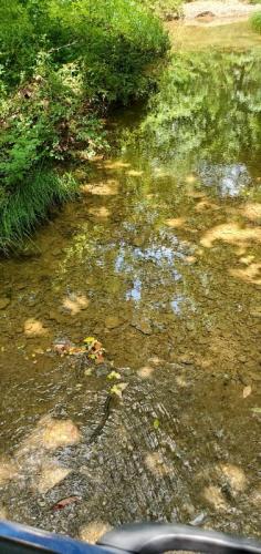 66b3a632-4583-4aa4-9bf0-aedd941a2e3f