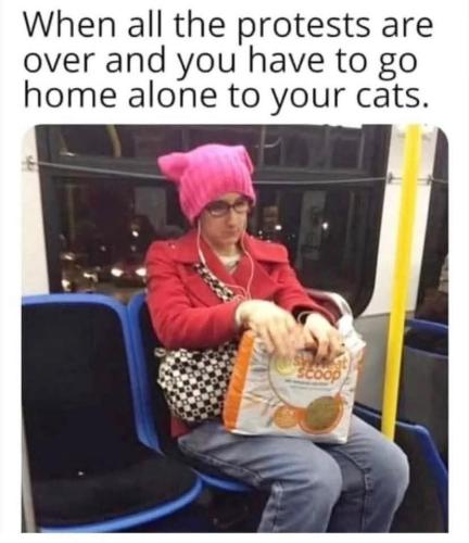 FB_IMG_1749556497289