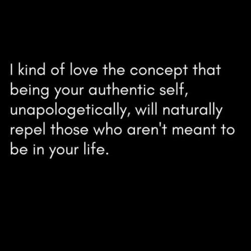 489775055_674417768807752_3806673936037379163_n