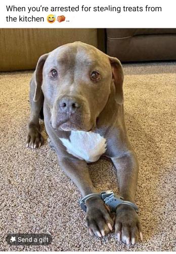 Screenshot_20250613_164023_Facebook_resized