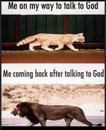 IMG_20250630_005023_264