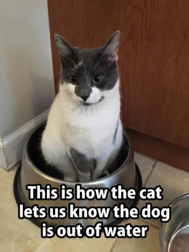 FB_IMG_1750273327296